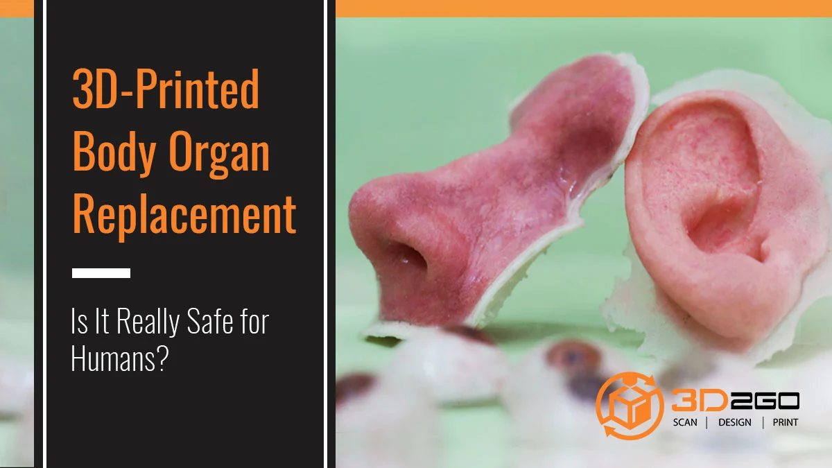 3D Printed Body Organ Replacement: Is It Really Safe for Humans? 4 3D Printed Body Organ Replacement