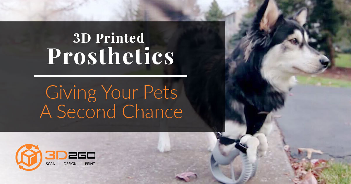 3D Printed Prosthetics Giving Your Pets A Second Chance