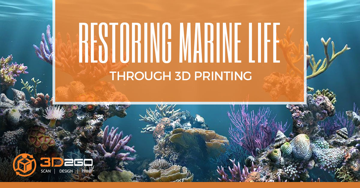 Restoring Marine Life through 3D Printing
