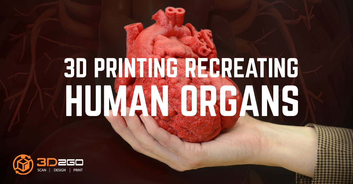 3D Printing Recreating Human Organs