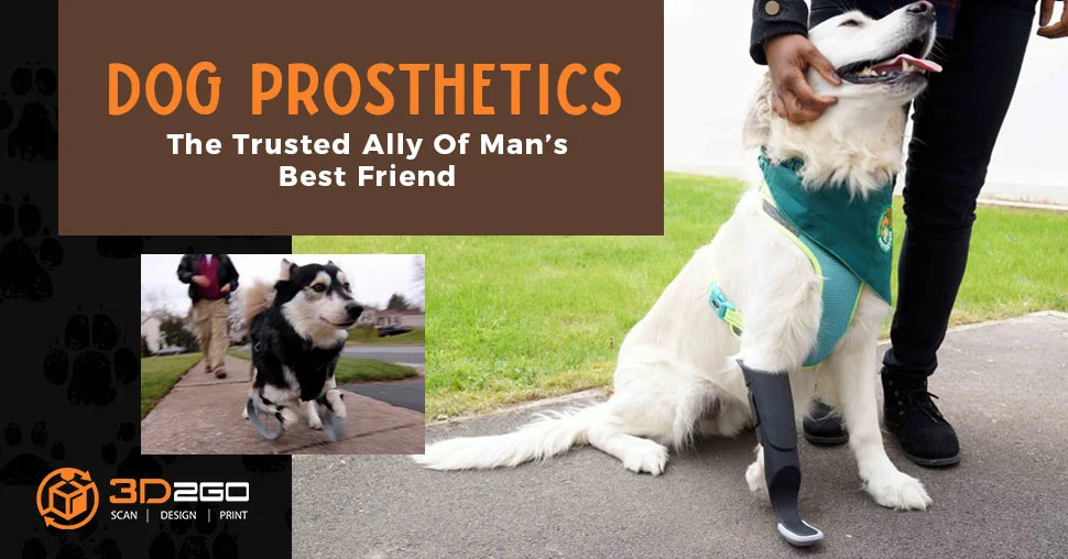prosthetics