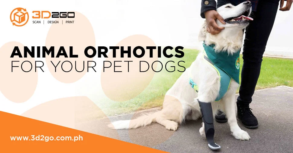 pet orthotics braces medical