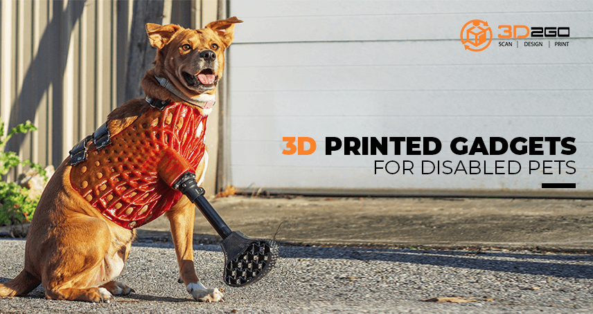 3D Printed Gadgets Perfect for Disabled Pets