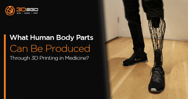 Bioprinting Human Body Parts & Organs: 3D Printing In Medicine