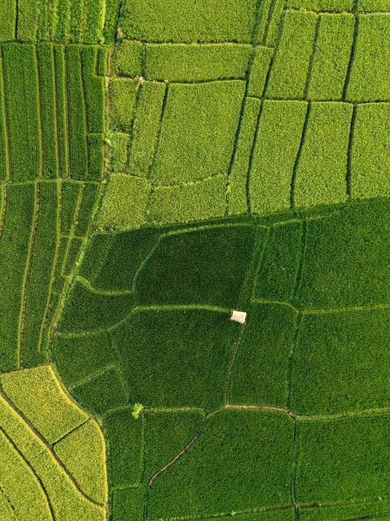 aerial property