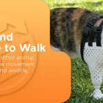 Restore-Mobility-with-Custom-3D-Printed-Animal-Prosthetics-Ban