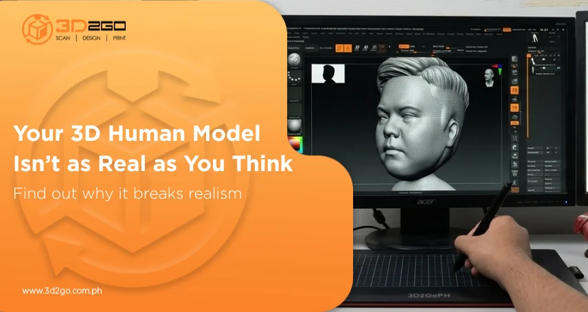 human figure 3d model​