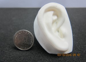 Prosthetic Ear     
