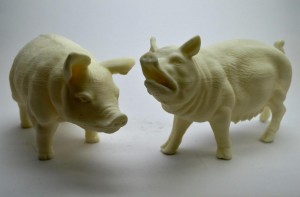 Pig models